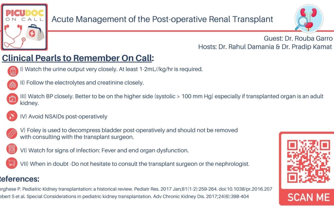 Acute Management of the Post-operative Renal Transplant